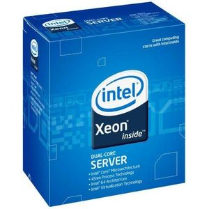 Intel Xeon L3110