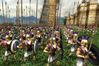 Rise & Fall: Civilizations at War