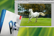 VINN: Adobe Photoshop CS5