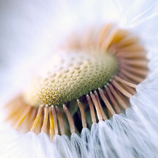 Foto: Anfall