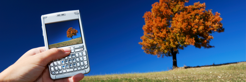 8 tips for bedre mobilbilder