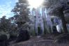The Elder Scrolls IV: Oblivion