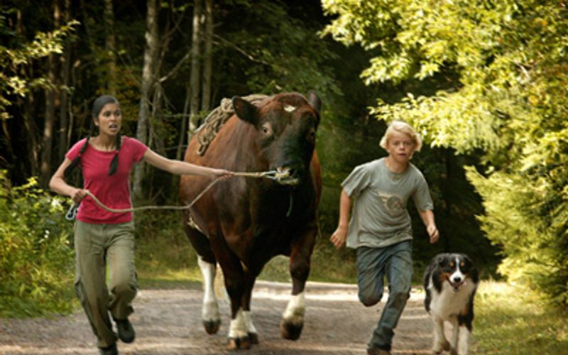 finne venner norsk erotikk finne venner norsk erotikk