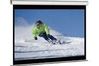 Elite Screens M100XWH 