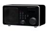 Pinell SuperSound iRadio II