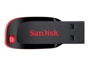 SanDisk Cruzer Blade 2GB