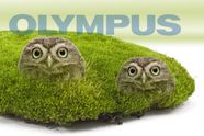 Olympus jager uglene