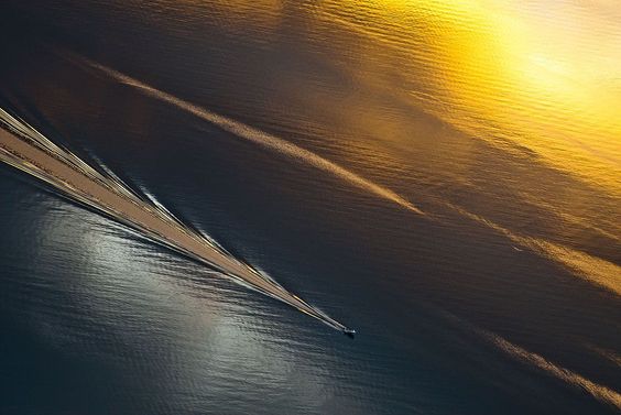 'Silver and Gold'. Foto: Bjorn Leirvik ( BULLS/EPOTY.ORG ) 