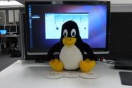 Hjelp, Niklas må bruke Linux!