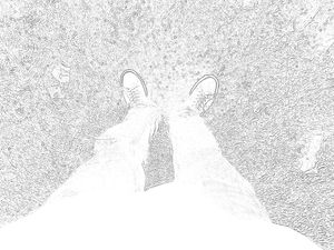 Selvportrett med filter 