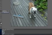 Les Adobe gir etter for presset