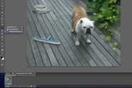 Adobe vil tvinge deg til å oppdatere