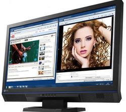 Eizo Foris FS2332