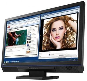 Eizo Foris FS2332