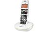 Doro PhoneEasy 100w
