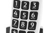 Doro PhoneEasy 100w