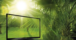 Se sommersporten på Sharps nye monster-TV-er