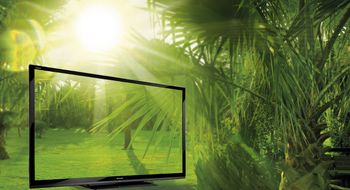 Se sommersporten på Sharps nye monster-TV-er