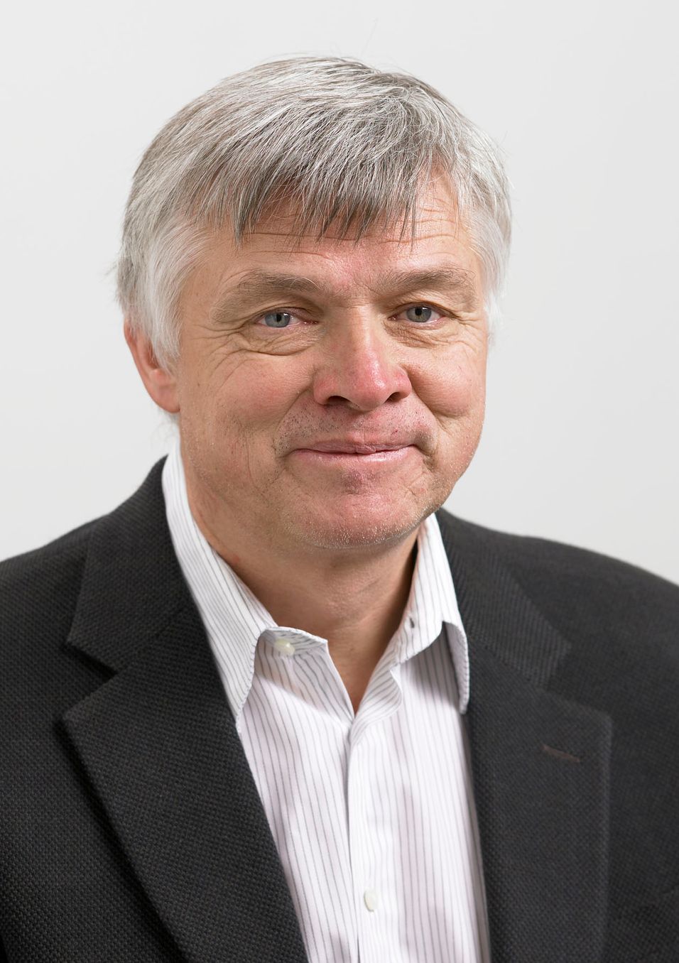  Johan From, professor i offentlig politikk, Handelsh&amp;oslash;yskolen BI. 