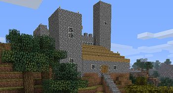 Test: Minecraft