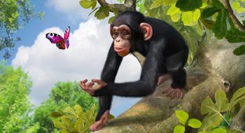 Zoo Tycoon