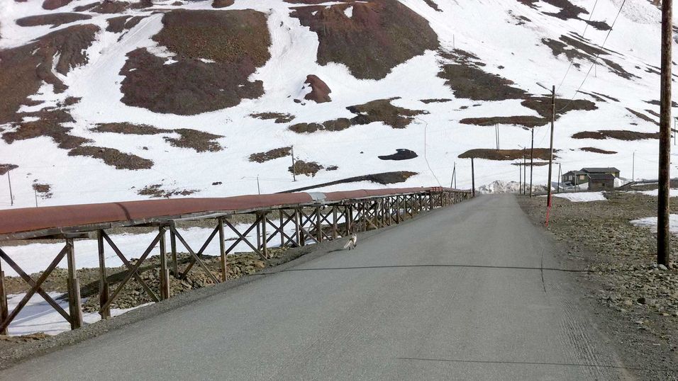 Det er ikke alle erfaringer på Svalbard som kan overføres til fastlandet. For eksempel kan fiberkablene på enkelte strekk legges sammen med Longyearbyens fjernvarmeanlegg som ligger godt løftet over bakken. Estetikken er det ikke så farlig med i et landskap som mesteparten av året er preget av permafrost i bakken.