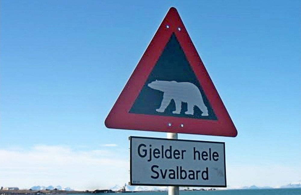 De som jobber med vegvedlikehold på Svalbard blir omgitt av en annen fauna enn den man møter på fastlandet. Mietinen fra Vadsø leder konkurransen om driftskontrakten. (Foto: Google)