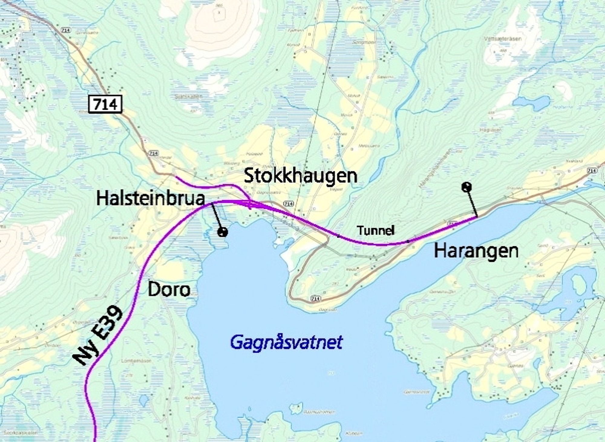 De som har lyst til å anlegge ny E 39 mellom Harangen og Halsteinbrua må gi anbud innen 27. august. (Ill.: Statens vegvesen)