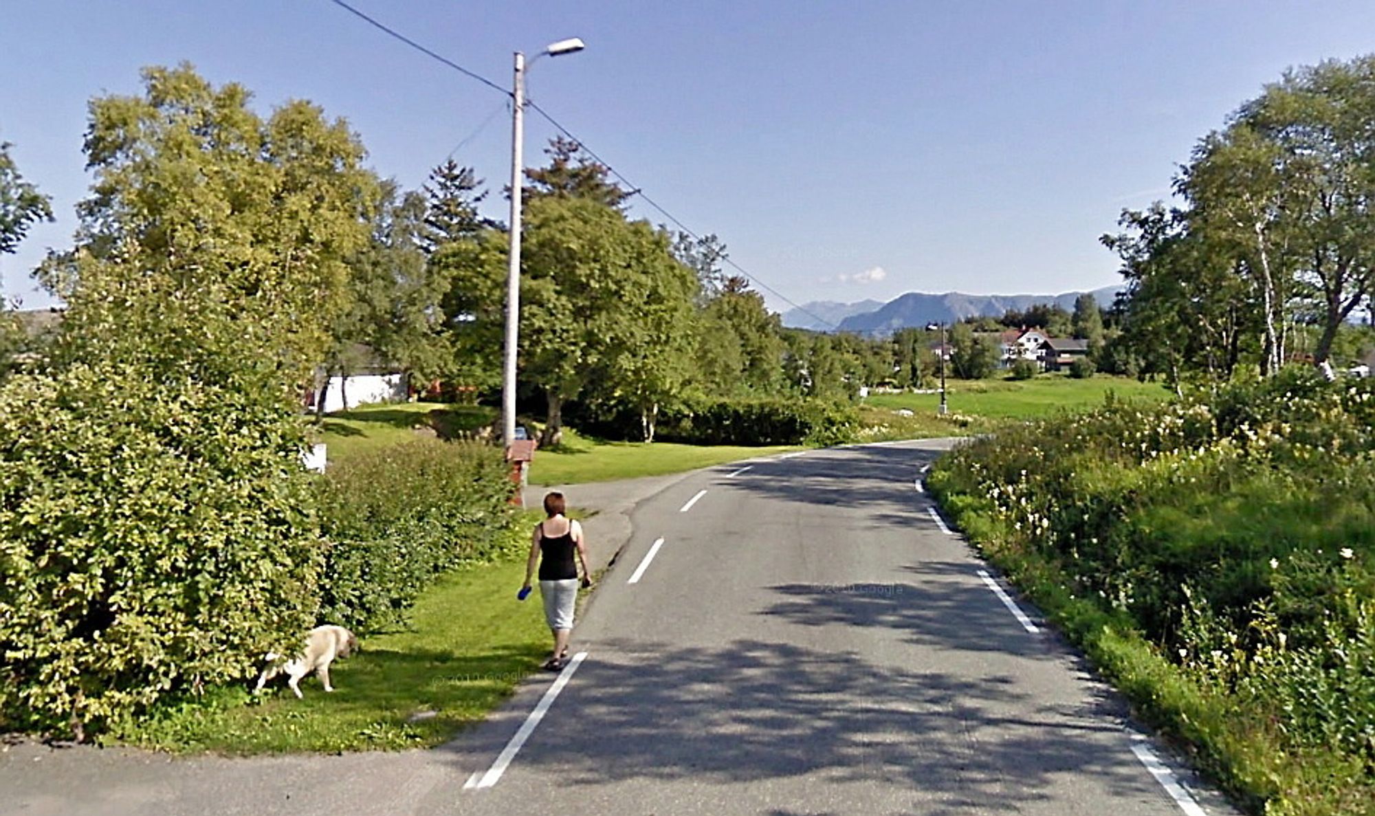 Til høsten blir det hyggeligere å lufte bikkja langs fylkesveg 54. De som vil anlegge gang/sykkelvegen, må gi anbud innen februar er omme. (Foto: Google)