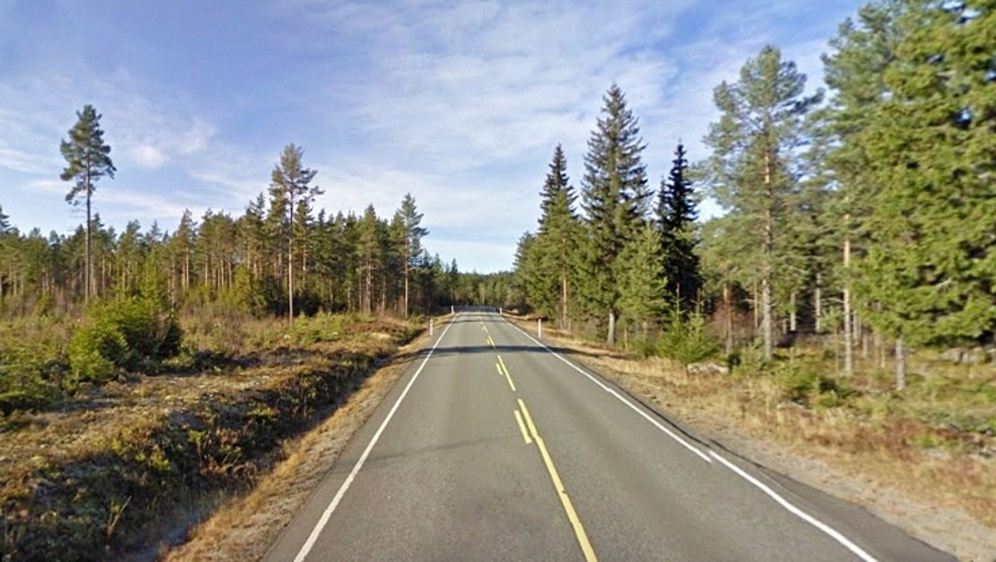 Fylkesveg 24 langs Harasjøen er oversiktlig, men en utforkjøring kan bety et lite hyggelig møte med godt voksne trær eller steinblokker. Innen 1. desember nest år blir det bedre. (Foto: Google)