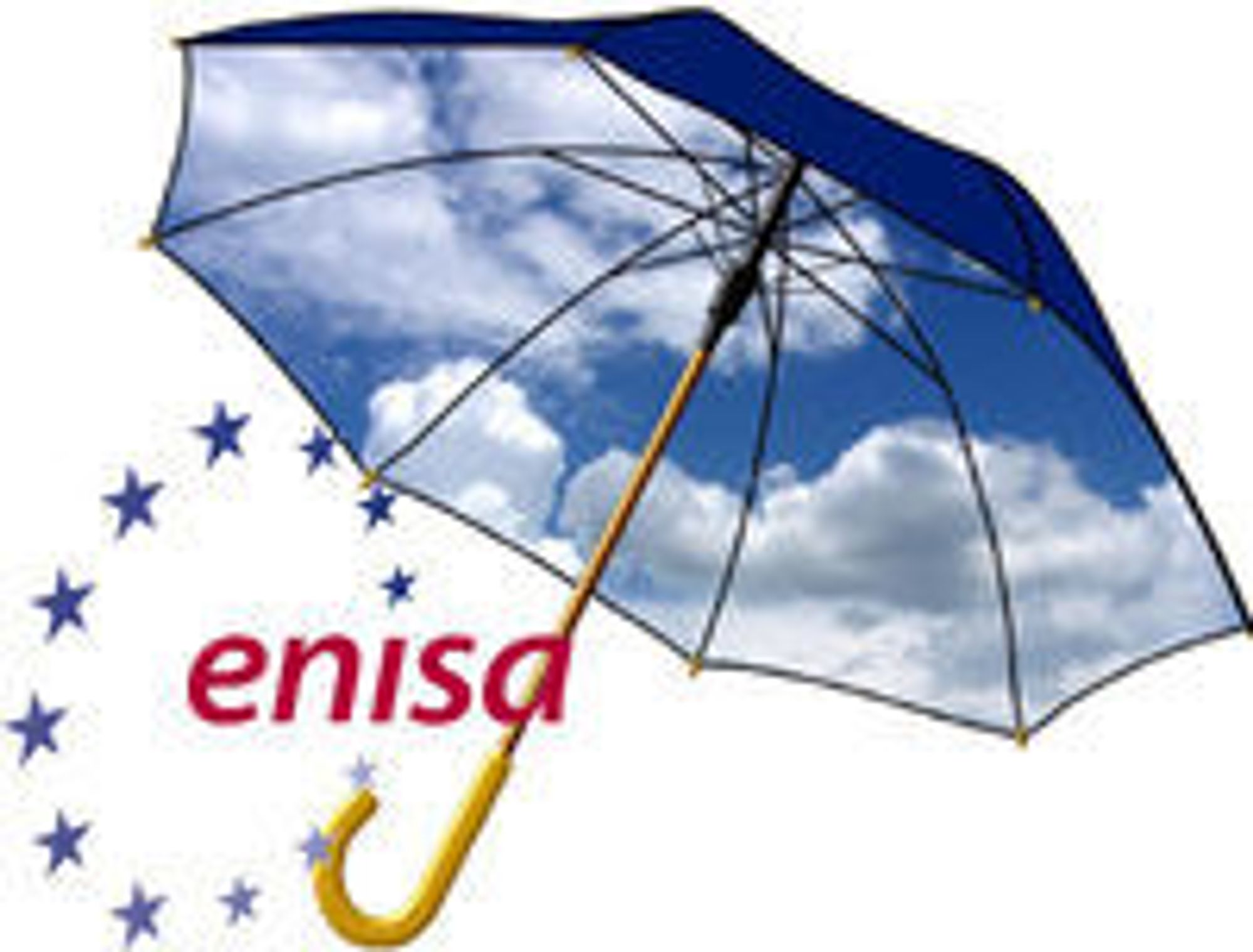 EU tilbyr bedrifter paraply i nettskyen