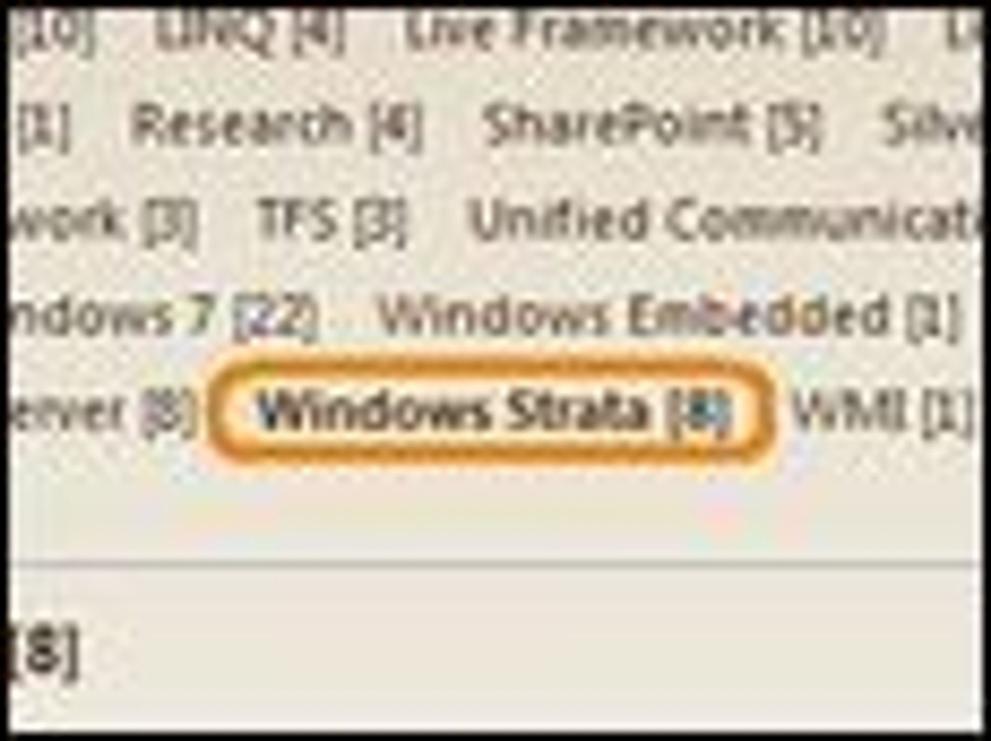 PDC 2008-fordrag, inkludert kategorien Windows Strata, som senere har blitt fjernet. Bilde: Kit Ong