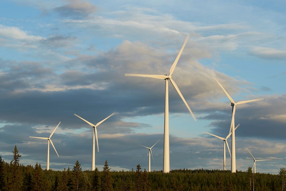 Stamåsen vindpark (bildet) og andre vindparker Statkraft bygger i Sverige, bidrar til å bedre Norges klima-image i Sverige, ifølge Norges ambassadør i Stockholm, Anne Lund.