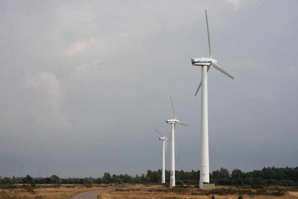 God vind i Norge gjør at norske vindkraftverk vil produsere langt mer strøm enn svenske, ifølge analyseselskapet Nena. Foto: Jörgen Skjelsbæk