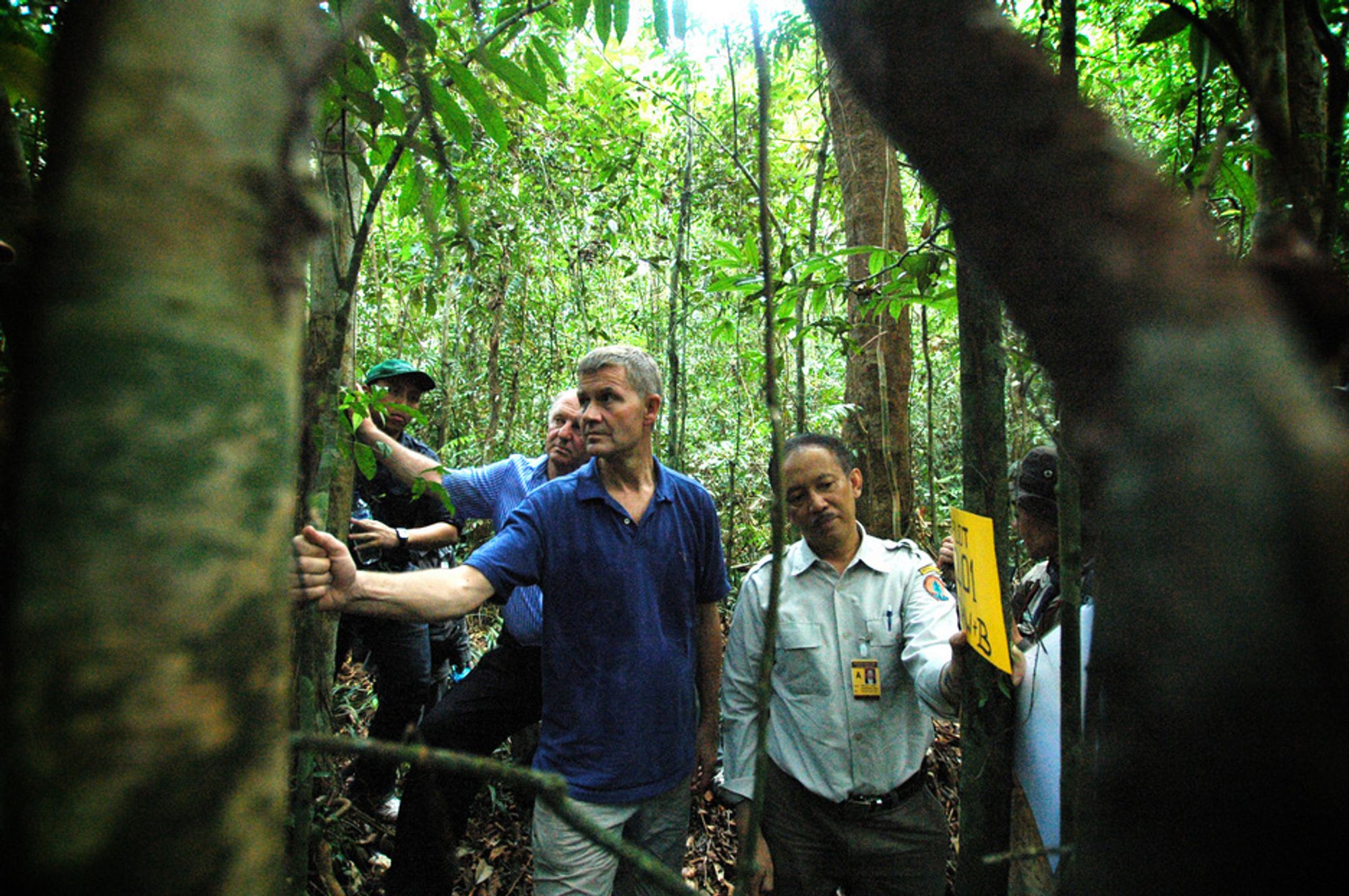 Miljø- og utviklingsminister Erik Solheim besøker Sentral-Kalimantan i Indonesia. Slike skoger kan bli en del av et fremtidig kvotemarked.