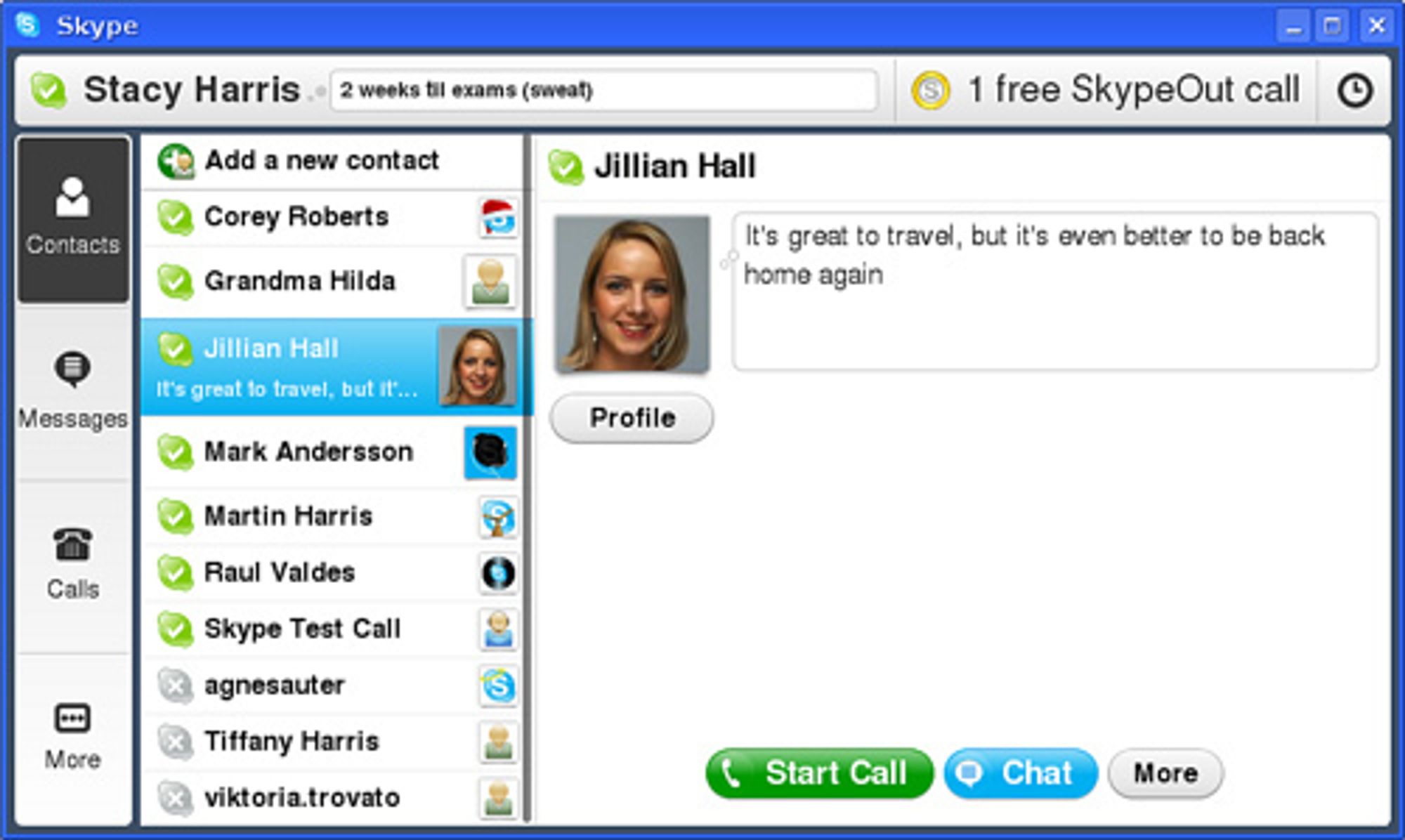 Первый скайп. Skype 1.0. Skype 3. Лицо в скайпе. Количество участников в скайпе.