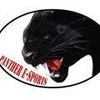 Panther E-sports