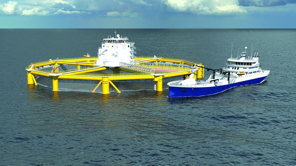 Den enorme havmerden som oppdrettsselskapet SalMar nå bygger i Kina er så stor at Goliat-plattformen ville fått plass innenfor merderingene.