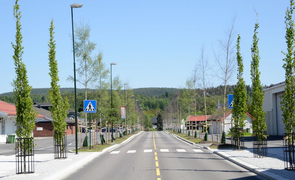 Fylkesveg 234, også kjent som Rådhusveien, går gjennom Bjørkelangen som er kommunesenter i Aurskog-Høland. Den ble bygd om til miljøgate for fire år siden. Den som får driftskontrakten for Romerike øst, får ansvar for drift og vedlikehold av denne vegen.