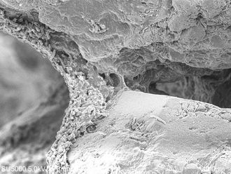 Biosement: Bildet er tatt med et scanning elektronmikroskop i 1300x forstørrelse og viser hvordan bakteriene har laget en «bro» av kalsiumkarbonat mellom to sandkorn i BioZEment-materialet.