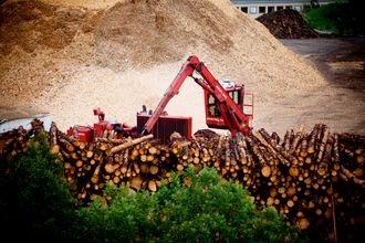 Råstoff til trekull: Norsk skog kan bli et godt råstoff for industrielt trekull.