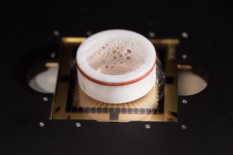 En microelectrode array (MEA) chip som inneholder nevroner. Foto: Kai T Dragland NTNU.