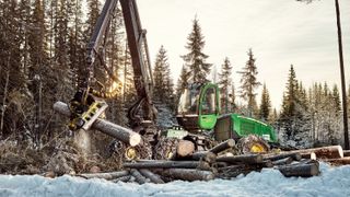 Tørt trevirke inneholder halvparten så mye energi som flytende bensin, men norsk skog får stort sett stå i fred