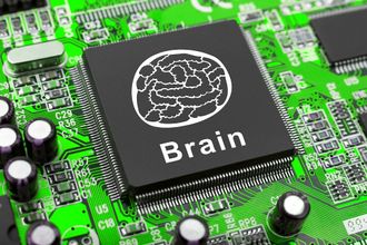 Målet er å kunne lage en kunstig hjerne som behandler informasjon slik som vår egen, men som er svært mye mindre både i omfang og energibruk enn om hjernen skulle simuleres i programvare i en superdatamaskin.