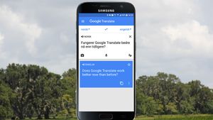 GoogleTranslatenorsk.300x169.jpg