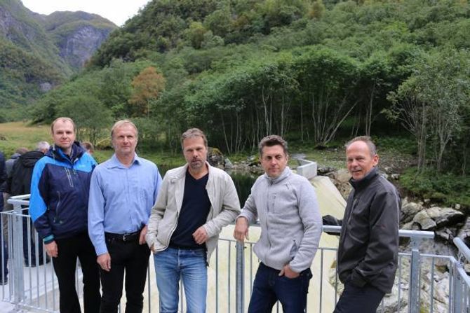 SAMARBEID: Dei fem grunneigarane som er med i aksjeselskapet; Petter Raa (f.v.), Jan Mo, Finn Mo, Ivar Raa og Olav David Skjerping.