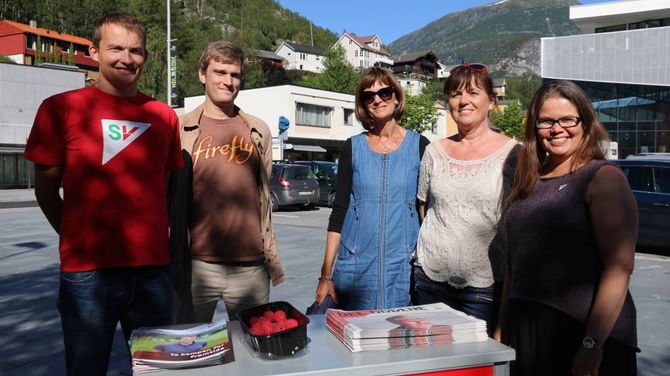 FEIL: SV meiner ein ny vestlandsregion utan nynorsk fører til at mistar brodd som motmakt til Oslo. Listetopp Jakob Andre Sandal (t.v.), Kirsti Eklund og fylkesleiar Vibeke Johnsen, her på stand i Øvre Årdal. Arkivfoto
