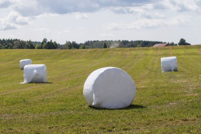 MINDRE UTSLEPP: Korleis kan norsk landbruk produsere meir mat med mindre utslepp? Det er spørsmålet Norges bondelag gjerne vil løyse i samarbeid med forskingsmiljøa. Illustrasjons