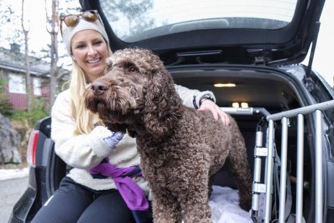 TUNG: Menneskets beste venn kan bli ein stor fare om bilen må bråstoppe. Ein hund som veg 20 kilo, får ei kraft på 786 kilo i 50 kilometer i timen.