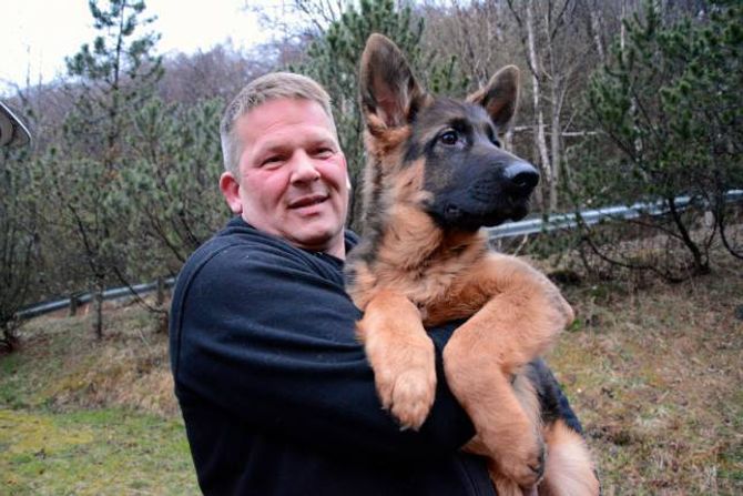 HOBBY: Leiar i Årdal hundeklubb John Berg har tre hundar. Her har han med seg Gismo, ein shæferhund på 16 veker.